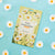 SCENTED SACHETS (5 PACKS/CHAMOMILE)